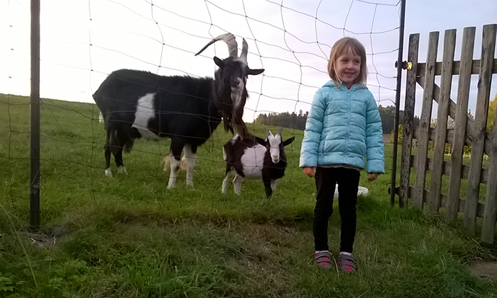 Agroturystyka w górach – Karkonosze