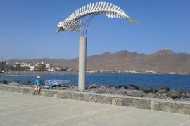 atrakcje dla dzieci Fuerteventura Hiszpania