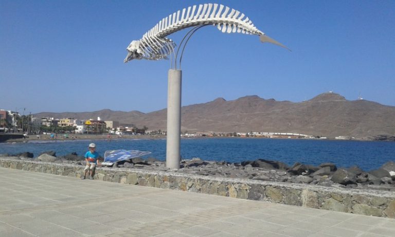Nasze zagraniczne wakacje – Fuerteventura Nasze zagraniczne wakacje – Fuerteventura