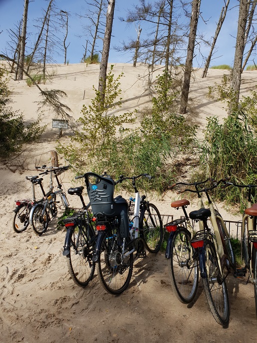 wycieczka rowerowa z dzieckiem na wydmy Łeba opinie ceny wypożyczenia