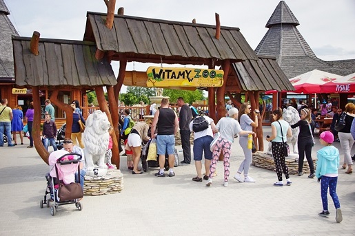 Zoo Safari Borysew zoo boryszew safari cennik atrakcje opinie