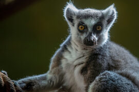 zoo łodz atrakcje dla dzieci łodzkie