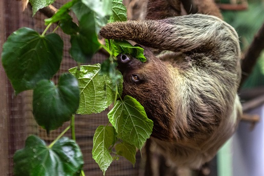 zoo lodz najlepsze ogrody zoologiczne w polsce rodzinne atrakcje